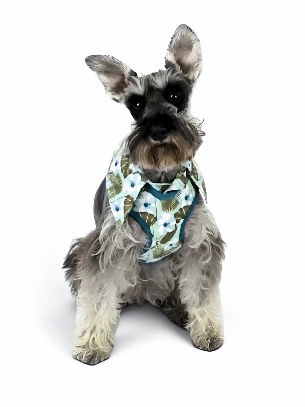 Vibrant Life Dog Hawaiian Shirt Harness